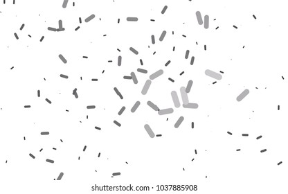 Light Silver, Gray vector pattern with rounded lines. Glitter abstract illustration with colored sticks. The template can be used as a background.