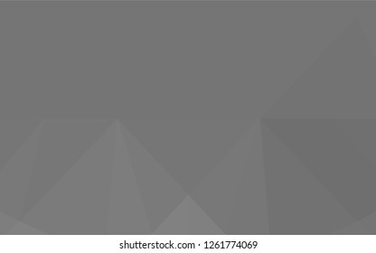 Light Silver, Gray vector shining hexagonal template. A sample with polygonal shapes. The polygonal design can be used for your web site.