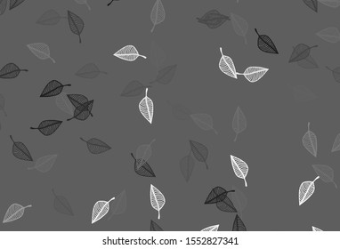 Light Silver, Gray vector sketch backdrop. Smart decorative design in natural style with leaves. Brand new design for your business.