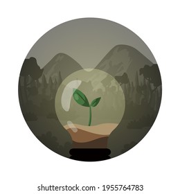 Light from a single plant. 