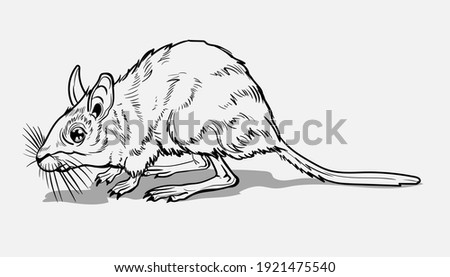 Light Small Jumper. A jerboa, a small animal, a field yellow mouse with a very long tail.Coloring page for children and adults, hand drawn illustration