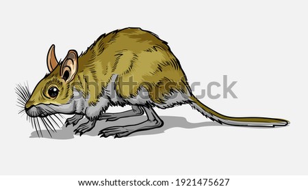 Light Small Jumper. A jerboa, a small animal, a field yellow mouse with a very long tail. Mouse, a rodent with a long tail. Isolate, full color with stroke vector illustration