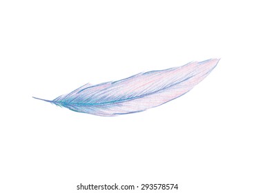 light soft feather. vector image