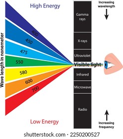 light spectrum and visible light