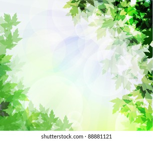 light spring background