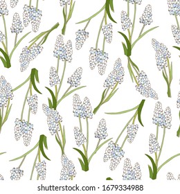 Light spring vector floral seamless pattern Gentle muscari latifolium on a white background. Endless vector illustration for fabric, wallpaper on the wall, kitchen textiles and dresses.