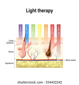 light therapy, Phototherapy or laser therapy. Electromagnetic spectrum with colors of the various wavelengths in the human skin. Different light spectrums would penetrate the skin to different depths