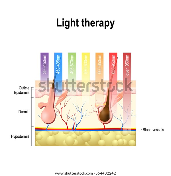 light therapy, Phototherapy or laser therapy.\
Electromagnetic spectrum with colors of the various wavelengths in\
the human skin. Different light spectrums would penetrate the skin\
to different depths