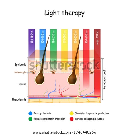 Light therapy. phototherapy of the skin. heliotherapy treatment for seasonal affective disorder (SAD). skin and specific wavelengths. using polychromatic polarised light for skincare. Vector