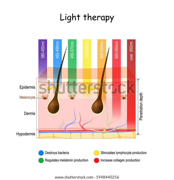 Light therapy. phototherapy of the skin.\
heliotherapy treatment for seasonal affective disorder (SAD). skin\
and specific wavelengths. using polychromatic polarised light for\
skincare. Vector