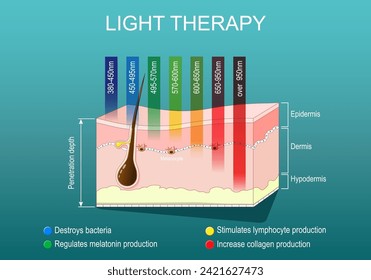 Light therapy for Skin rejuvenation. Phototherapy or laser therapy. Wrinkle reduction. Electromagnetic spectrum with colors of the various wavelengths in the human skin. isometric flat vector