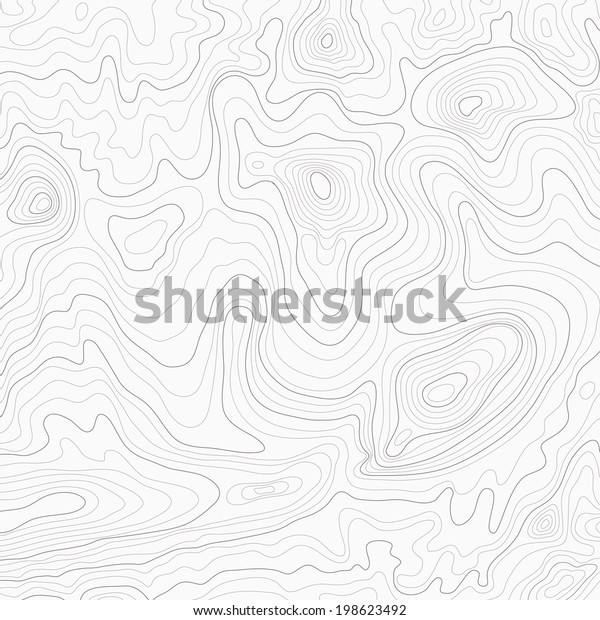 Light topographic topo contour map\
background, vector\
illustration