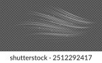 Light trail wave, fire path trace line and effect curve twirl. Neon motion effect. White special effect,speed police line. Road Magic of moving fast lines.