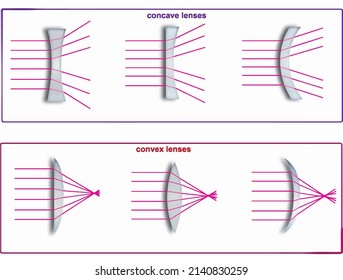 light transmission states of convex and convex lenses physics