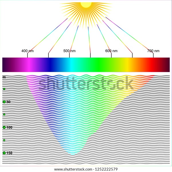 light travels slower in water