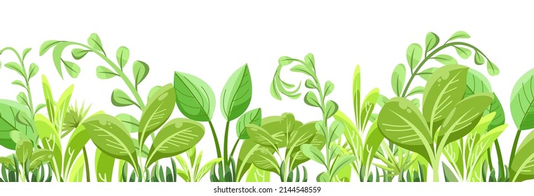 Light tropical herbs and shrubs. Jungle meadow. Palm shoots trees and nice summer weather. Isolated on white background. Funny cartoon style. Green countryside landscape. Vector