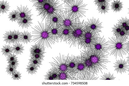 Light vector cover with sea urchins. Isolated sea urchins on white background. The template can be used in natural magazines.