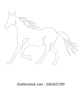 light vector horse silhouette