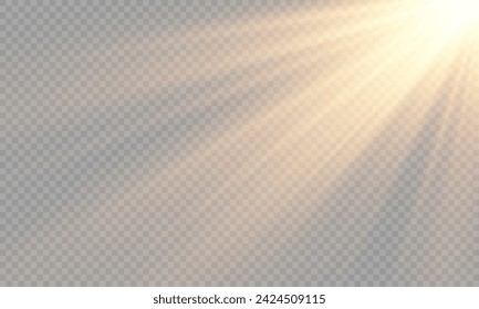Light Vector with Sun Glare. Sun, Sunrays, and Glare in PNG Format. Gold Flare and Glare.