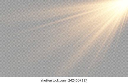 Light Vector with Sun Glare. Sun, Sunrays, and Glare in PNG Format. Gold Flare and Glare.