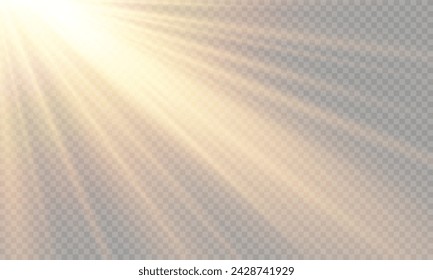 Vector de luz con resplandor solar. Sun, Sunrays y Glare en formato PNG. Gold Flare y Glare.	
