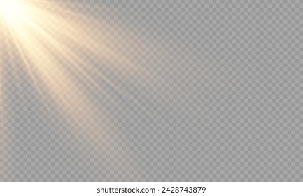 Light Vector with Sun Glare. Sun, Sunrays, and Glare. Gold Flare and Glare. PNG 
