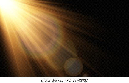 Vector de luz con resplandor solar. Sol, rayos de sol y resplandor. Gold Flare y Glare. PNG 
