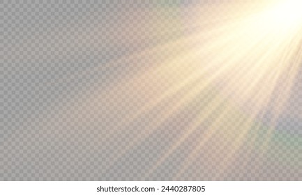 Light Vector with Sun Glare. Sun, Sunrays, and Glare. Gold Flare and Glare. PNG