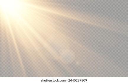 Light Vector with Sun Glare. Sun, Sunrays, and Glare. Gold Flare and Glare. PNG