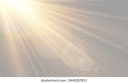 Light Vector with Sun Glare. Sun, Sunrays, and Glare. Gold Flare and Glare. PNG