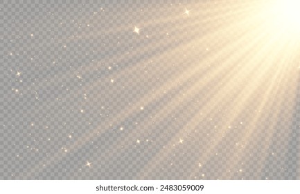 Light Vector with Sun Glare. Sun, Sunrays, and Glare in PNG Format. Gold Flare and Glare.