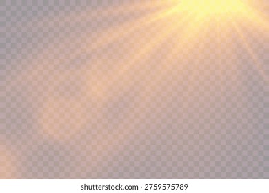 Light Vector with Sun Glare. Sun, Sunrays, and Glare. Gold Flare and Glare. PNG

