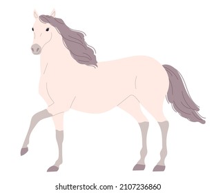 Light walking horse with a pink tint