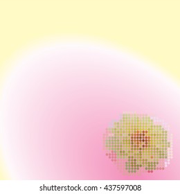 light yellow Dahlia on a pink background