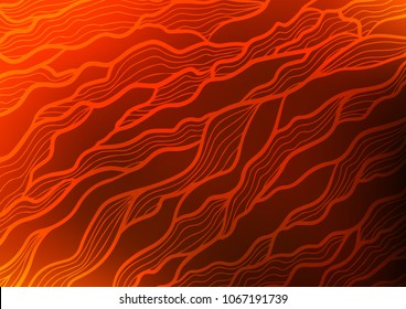 Light Yellow, Orange vector abstract doodle background. An elegant bright illustration with lines in Natural style. The doodle design can be used for your web site.