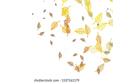 Light Yellow, Orange vector doodle pattern. Creative illustration in simple style with leaves. The best blurred design for your business.