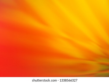 Light Yellow, Orange vector glossy bokeh pattern. Creative illustration in halftone style with gradient. The template can be used for your brand book.