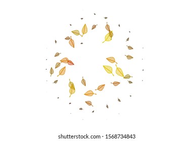 Light Yellow, Orange vector hand painted texture. Glitter abstract illustration with leaves. A new texture for your design.
