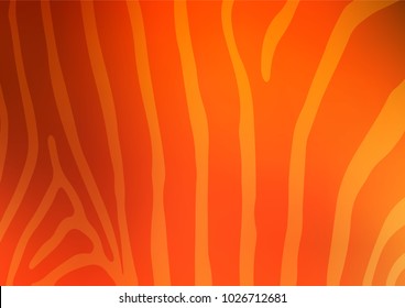 Light Yellow, Orange vector indian curved background. Modern geometrical abstract illustration with doodles. A completely new design for your business.
