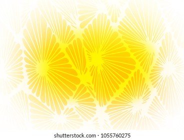 Light Yellow, Orange vector indian curved background. Decorative shining illustration with doodles on abstract template. A completely new design for your business.