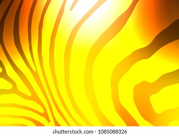 Light Yellow, Orange vector indian curved background. Decorative shining illustration with doodles on abstract template. A new texture for your design.