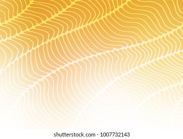 Light Yellow, Orange vector natural abstract template. Glitter abstract illustration with doodles and Zen tangles. A completely new template for your business design.