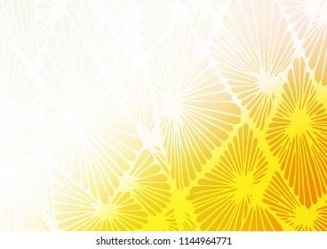 Light Yellow, Orange vector natural abstract background. Doodles on blurred abstract background with gradient. The pattern can be used for heads of websites and designs.