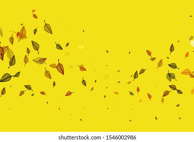 Light Yellow, Orange vector sketch pattern. Glitter abstract illustration with leaves. The textured pattern for website.