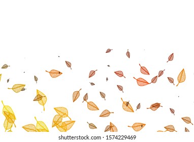 Light Yellow, Orange vector sketch backdrop. Shining colorful illustration with leaves in doodle style. New template for your business design.