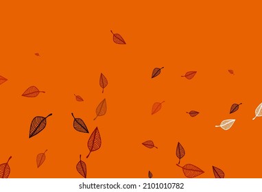 Light Yellow, Orange vector sketch cover. Abstract leaves with gradient on simple background. Completely new design for your business.