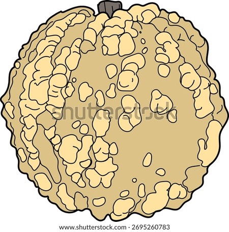 An light yellow pumpkin with an unusual surface covered with warts on a white background