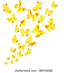 Light yellow triangle polygon butterflies swirl. Flying elegant butterfly pattern trendy design. isolated on white background. vector. For wallpaper, wedding card invitation, texture web template.