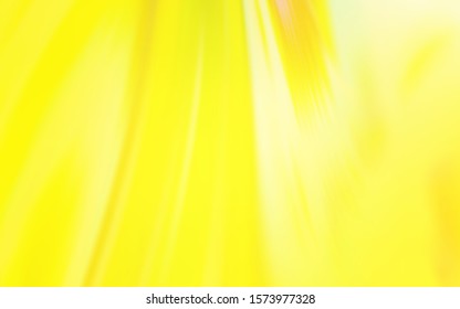 Light Yellow vector colorful blur backdrop. New colored illustration in blur style with gradient. The best blurred design for your business.