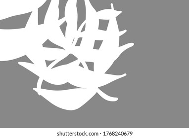 Light Yellow vector doodle backdrop with leaves. Shining colored illustration with leaves in doodle style. Hand painted design for web, wrapping.